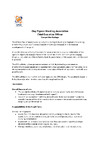 CPSA Chief Exec Job Spec