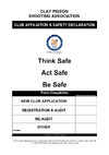 Safety Audit 2018