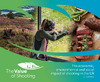 Value of Shooting 2024